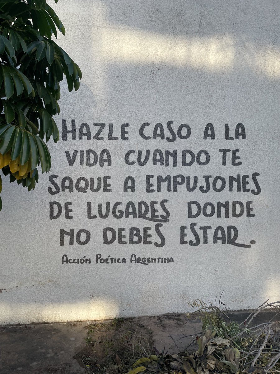 Manu_Cat47's tweet image. 