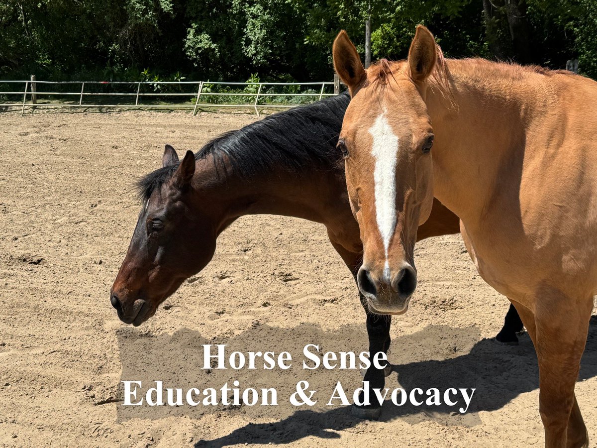 San Lorenzo Valley Chamber of Commerce tweet media