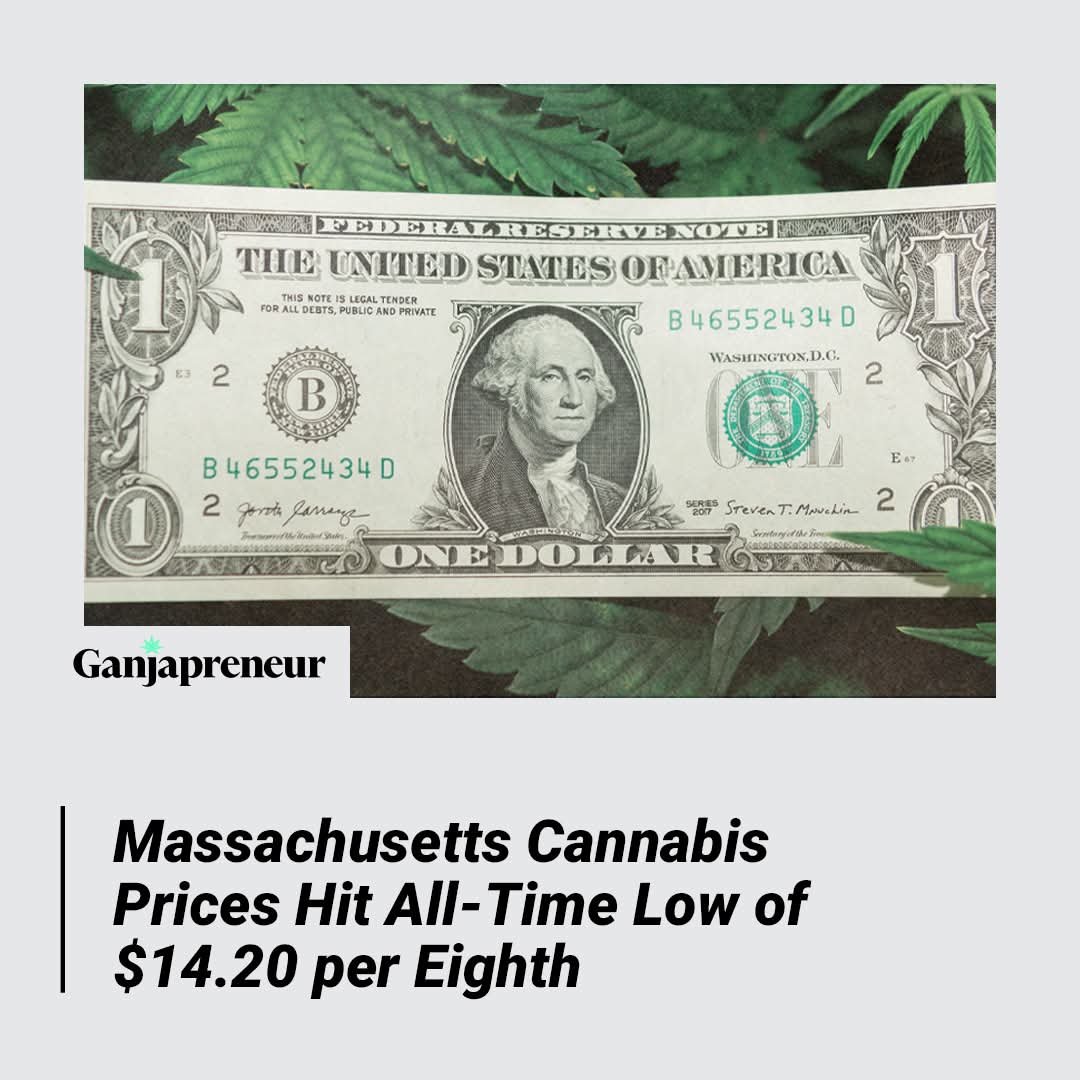 The price of adult-use cannabis in Massachusetts has reached its lowest point since sales launched in 2018. 

According to publicly available data from the Cannabis Control Commission, the average price for an eighth of cannabis flower dropped to $14.20 in November.