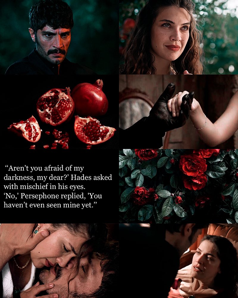 alina⋆✦ tweet media