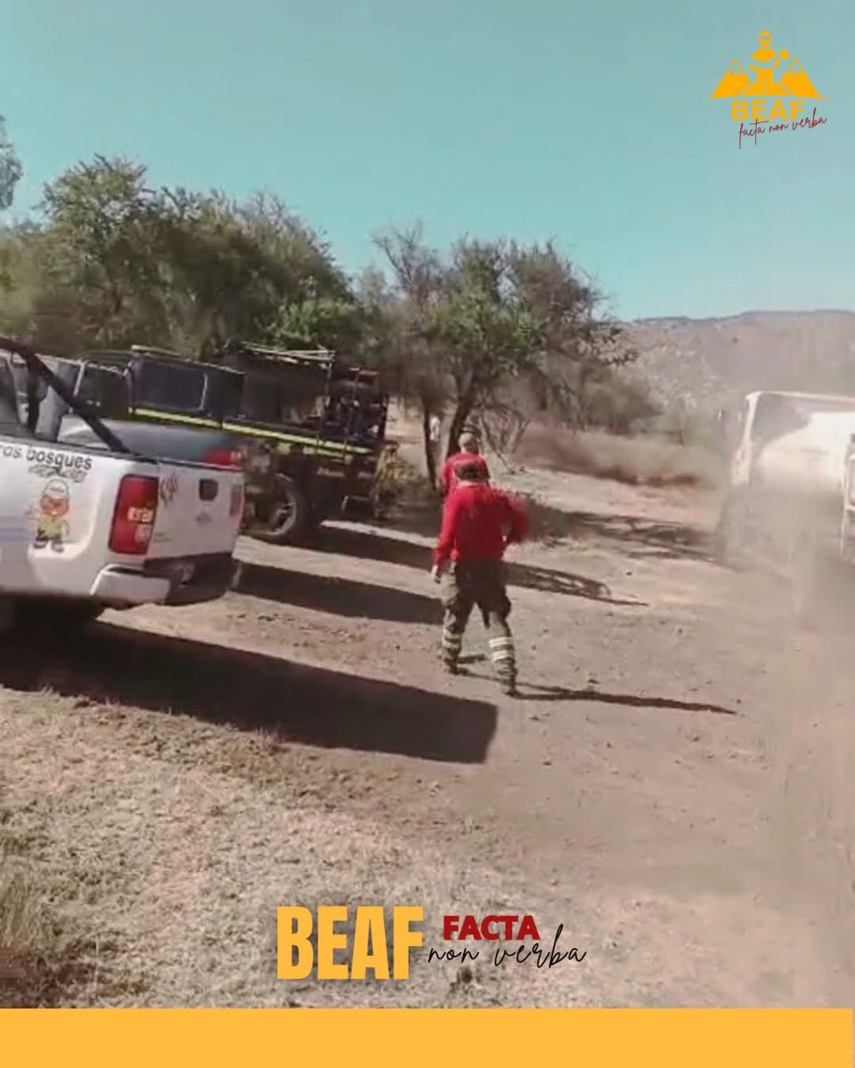 1ª Brigada Forestal Voluntaria de Chile tweet media