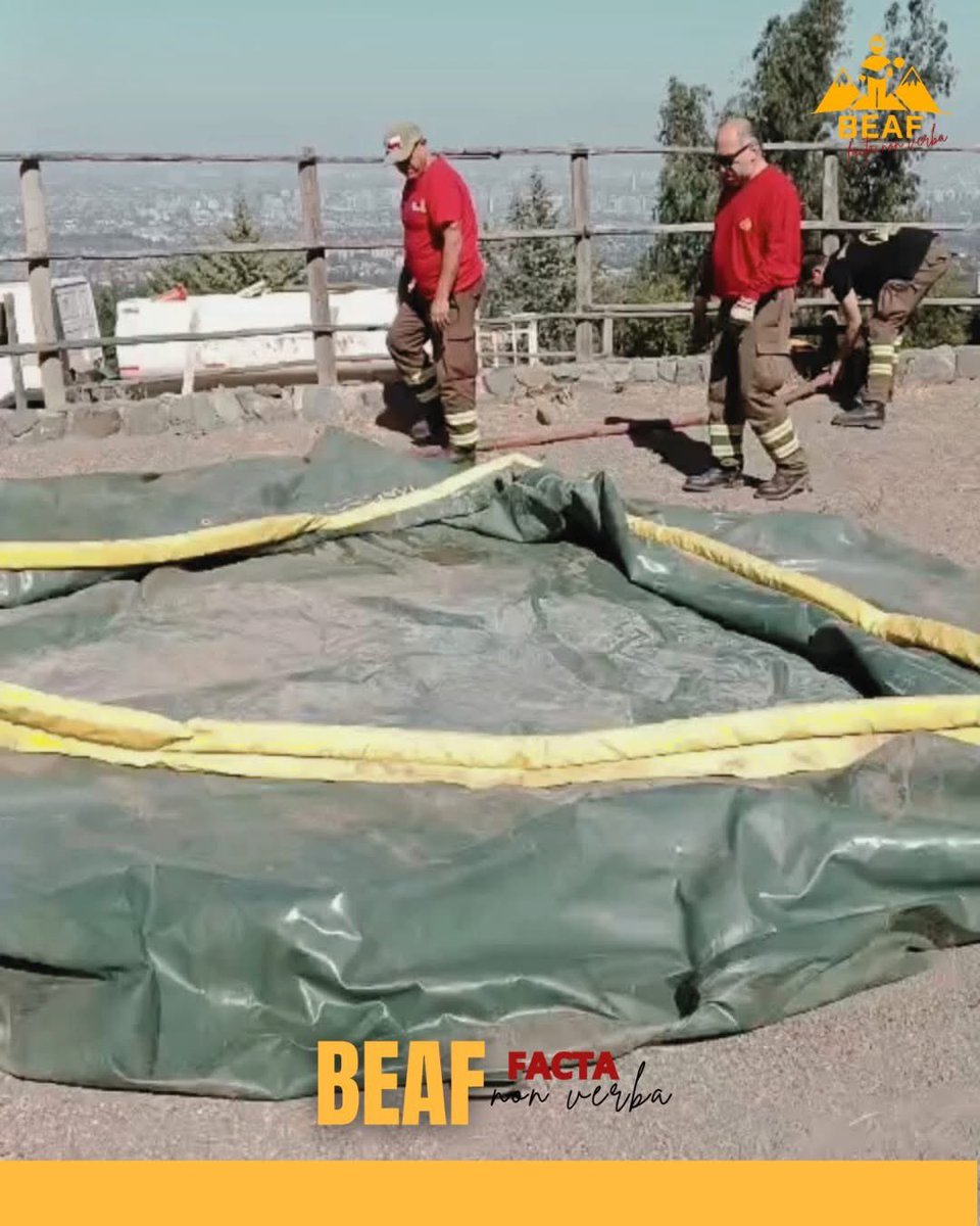1ª Brigada Forestal Voluntaria de Chile tweet media