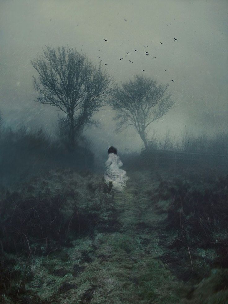 elemmiressoul's tweet image. 