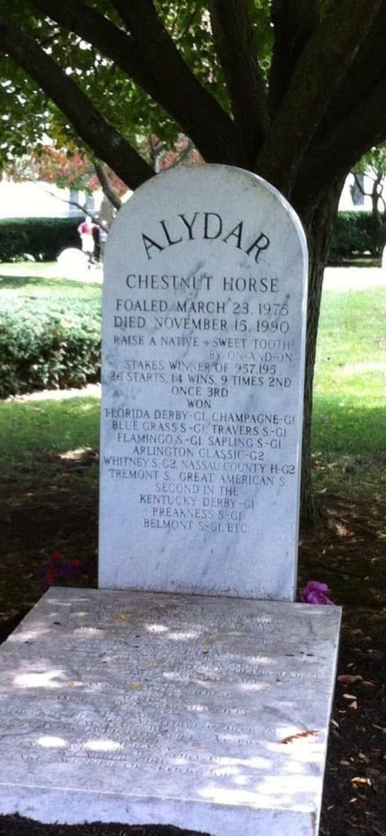 19Equis's tweet image. #HorseRacing

Read the last line of his gravestone!!
