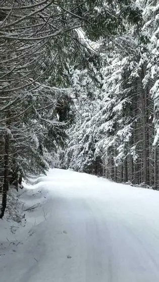 JM Virgili i Ortiga tweet media