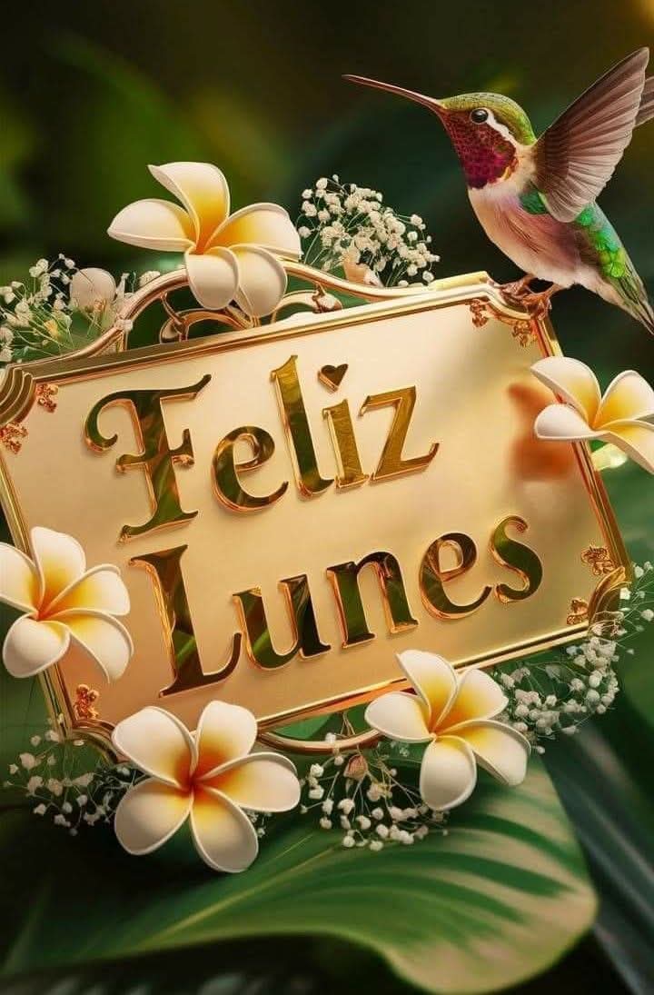 Errolyn (@errolyncr) on Twitter photo 