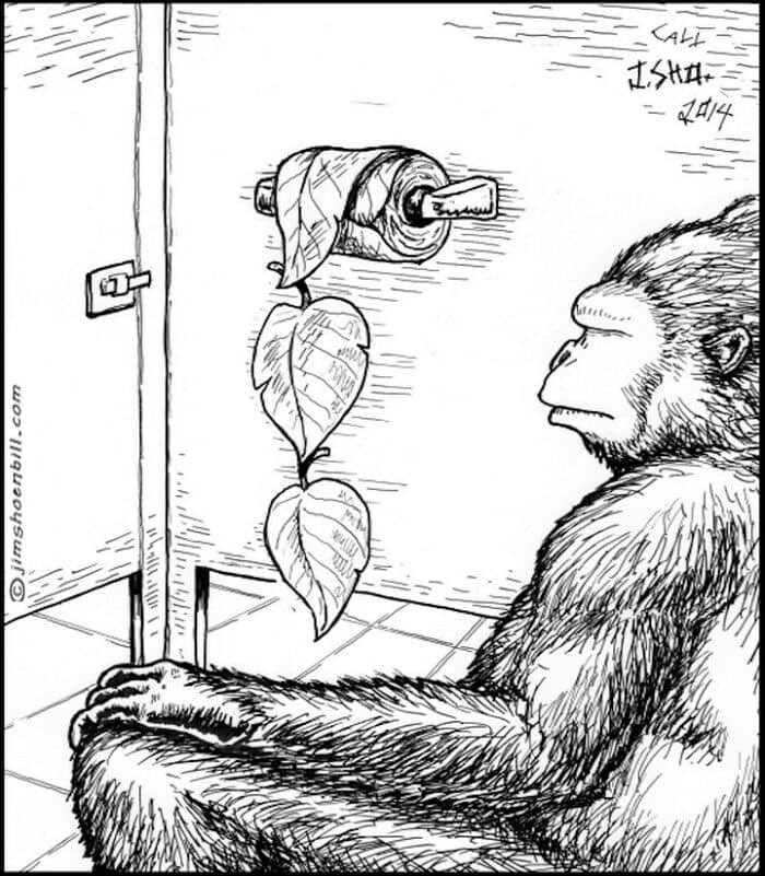 John Simpson tweet media