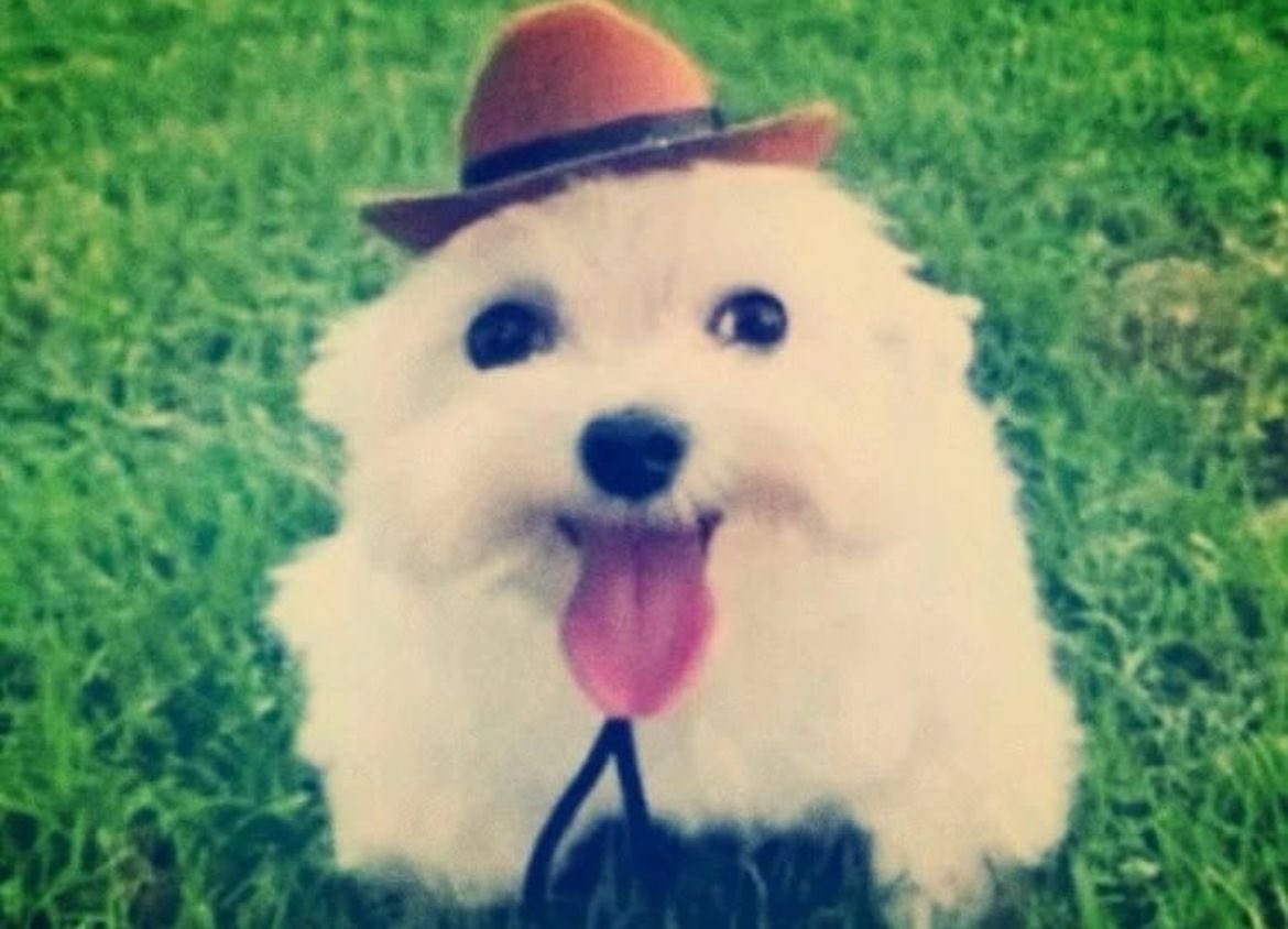 ⭑ kameron tweet media