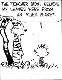 AnOriginalCopy's tweet image. #CalvinandHobbes