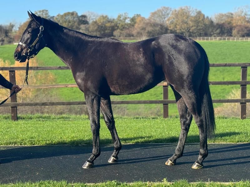 Craig Lidster Racing tweet media