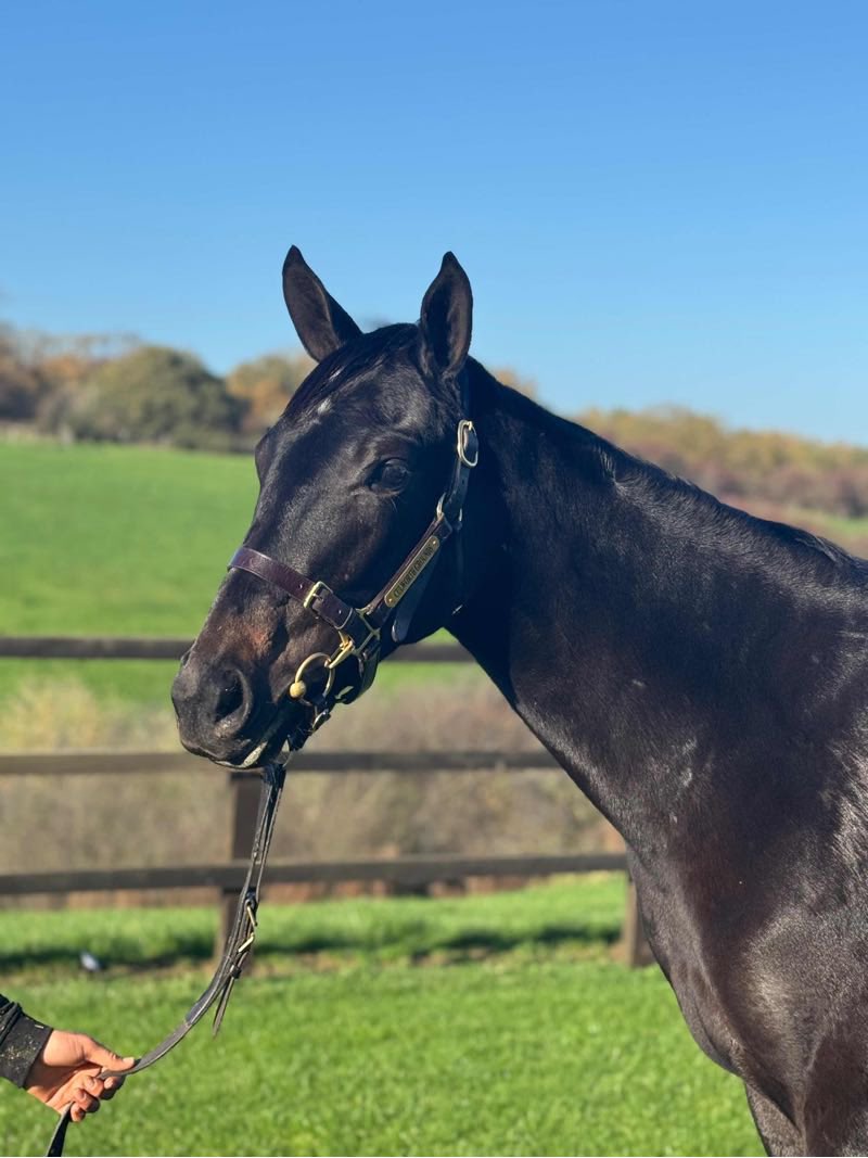 Craig Lidster Racing tweet media