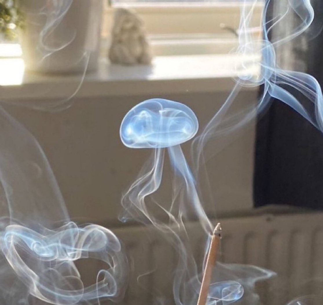 Smoke Jellyfish | Wiki