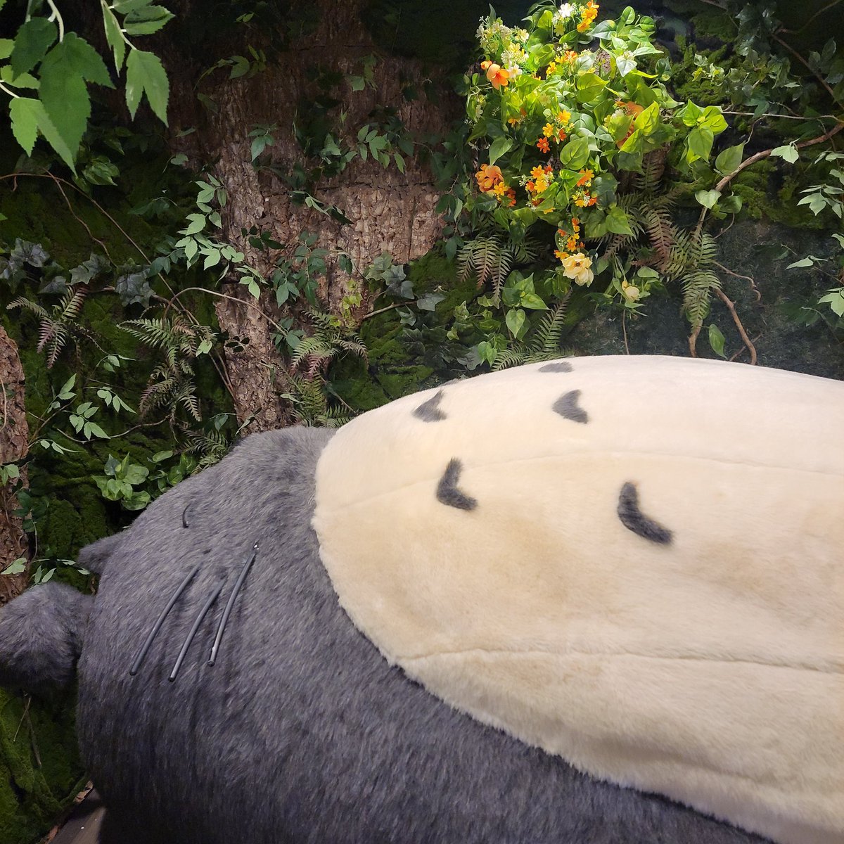 재테크자금현금화문의[구글도배,구글찌라시 텔 𝑮𝑺𝑬𝑶8]OTC장외거래.xfk