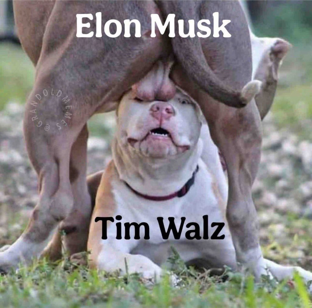 MyDogeVN's tweet image. 