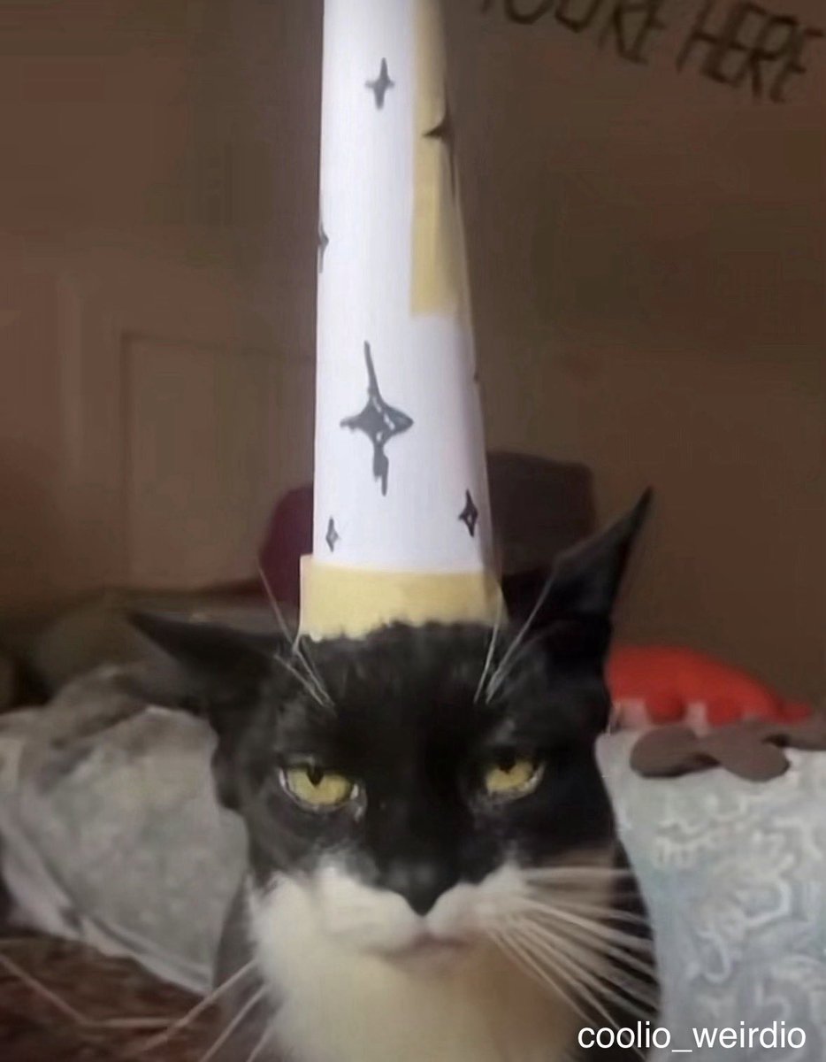 🎄Jolly Spusd ❄️ tweet media