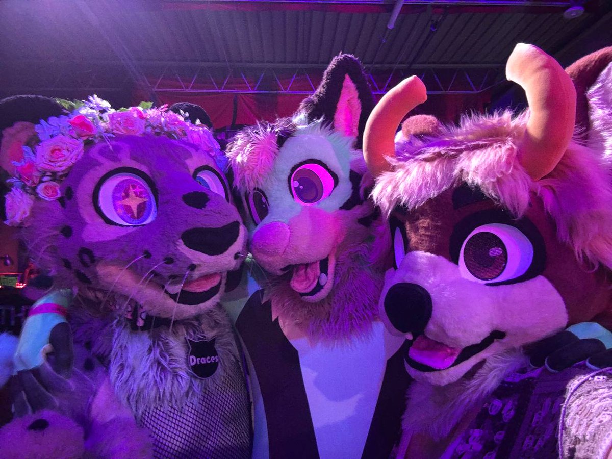 Rykerisgay's tweet photo. Hello Twitter! 

This year I will be doing Valentine's Day cards and if you're interested you can request a personalized one. 

If you're interested send me a dm on Telegram and I'll send you the form :3

Feat. @DracesLW and Buckaroni
#FursuitEveryday #furry #femboy https://t.co/62gMjdXhno