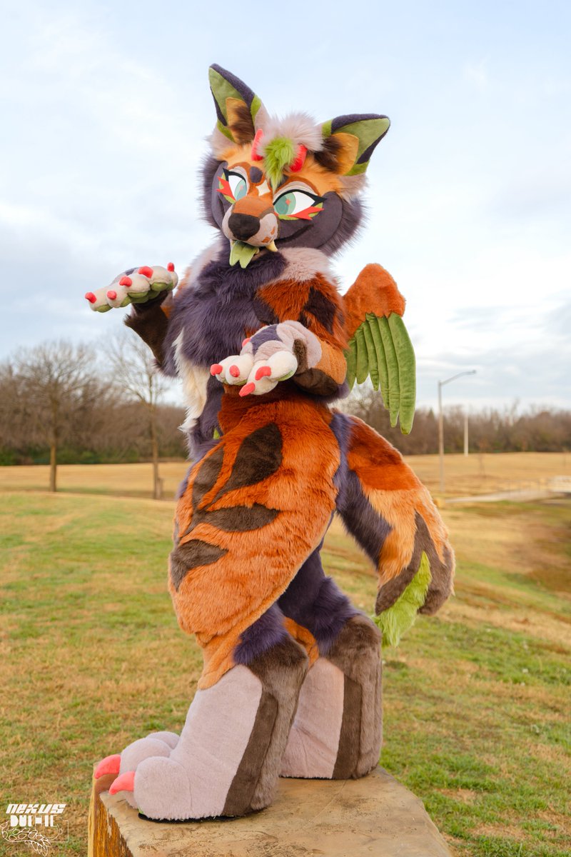 splashana 🌿 tweet media