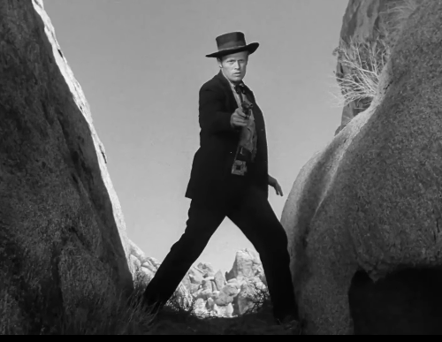 📣Calling all members of #WidmarkWednesday!
📽️ #FilmNoir #ClassicFilm #RichardWidmark