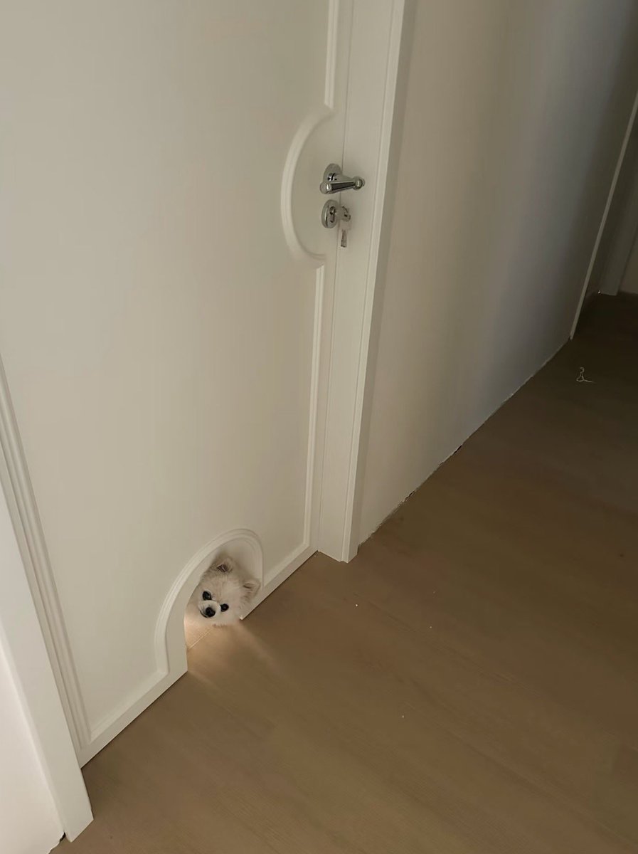 💖 (@twaniimals) on Twitter photo 