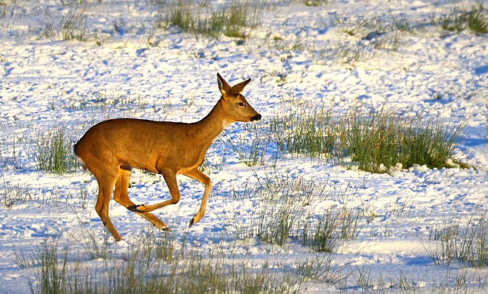 A few bonus shots from my adventures  today