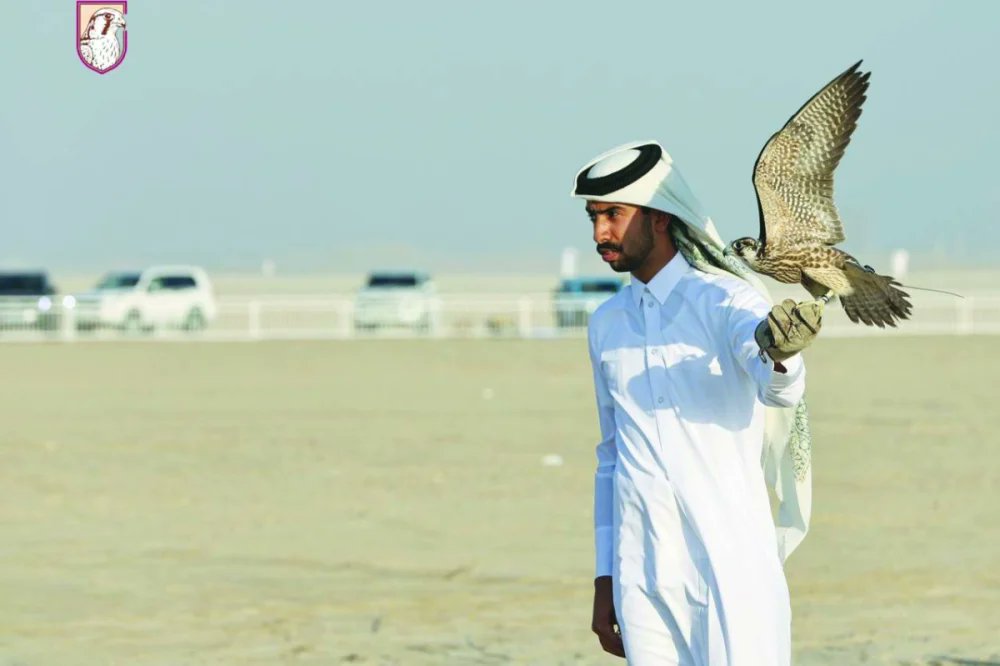 GulfTimes_QATAR's tweet image. #Advantage #pigeons at #Marmi_2026
gulf-times.com/article/718085…