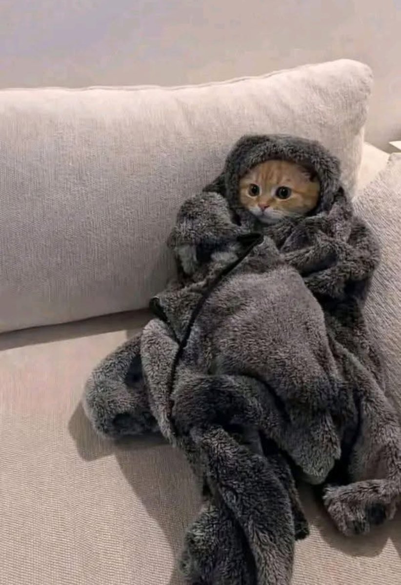 nmpp8043's tweet image. غلطت الشاطر قااعده بالف 
ولاااا غليت 😂 عندي كم غلطة نبي  انبيعهم😒😒😂😂 😂😂