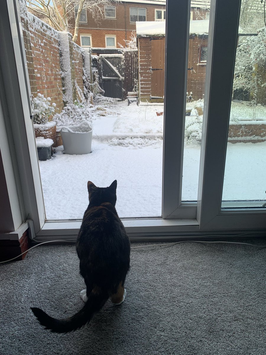 minkythecat's tweet image. uhm no thanks