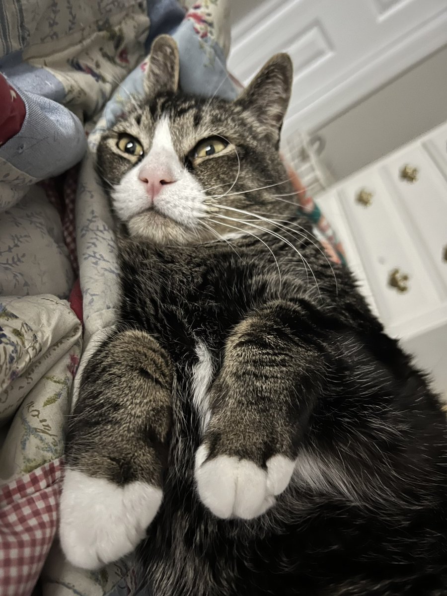 stinky_boots's tweet image. me when the horrors persist but so must I