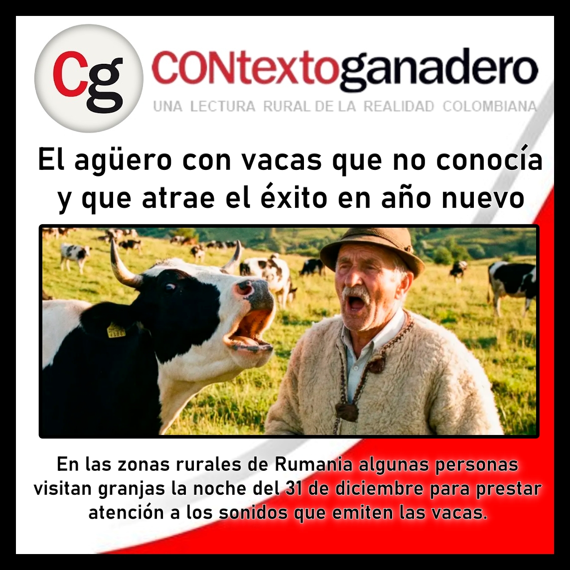 GarzonLocal's tweet image. ¿Y si la buena suerte tiene cuatro patas?
Una vieja tradición dice que las vacas pueden predecir su año. 
@Fedegan  @jflafaurie 
Mire cómo funciona este curioso agüero: @ContGanadero
