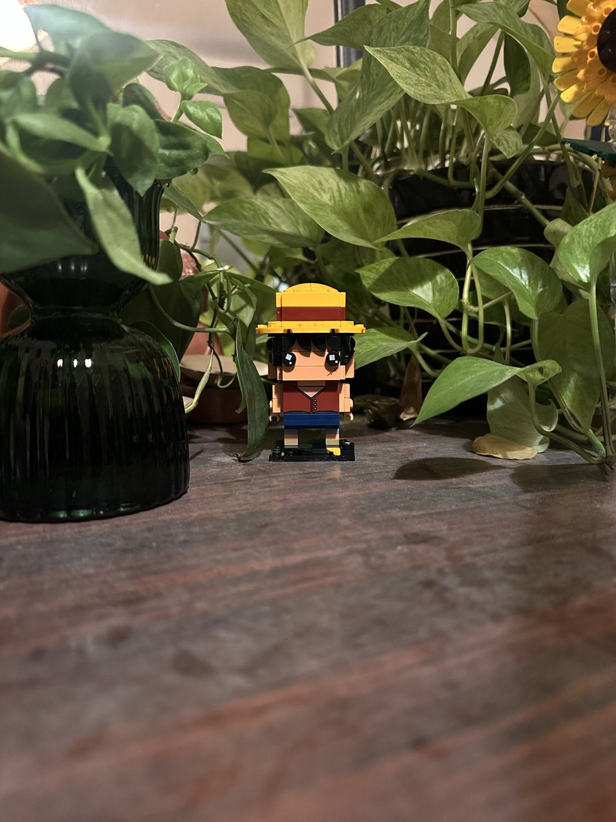 algoldenberga's tweet image. Сфоткал Monkey in the jungle