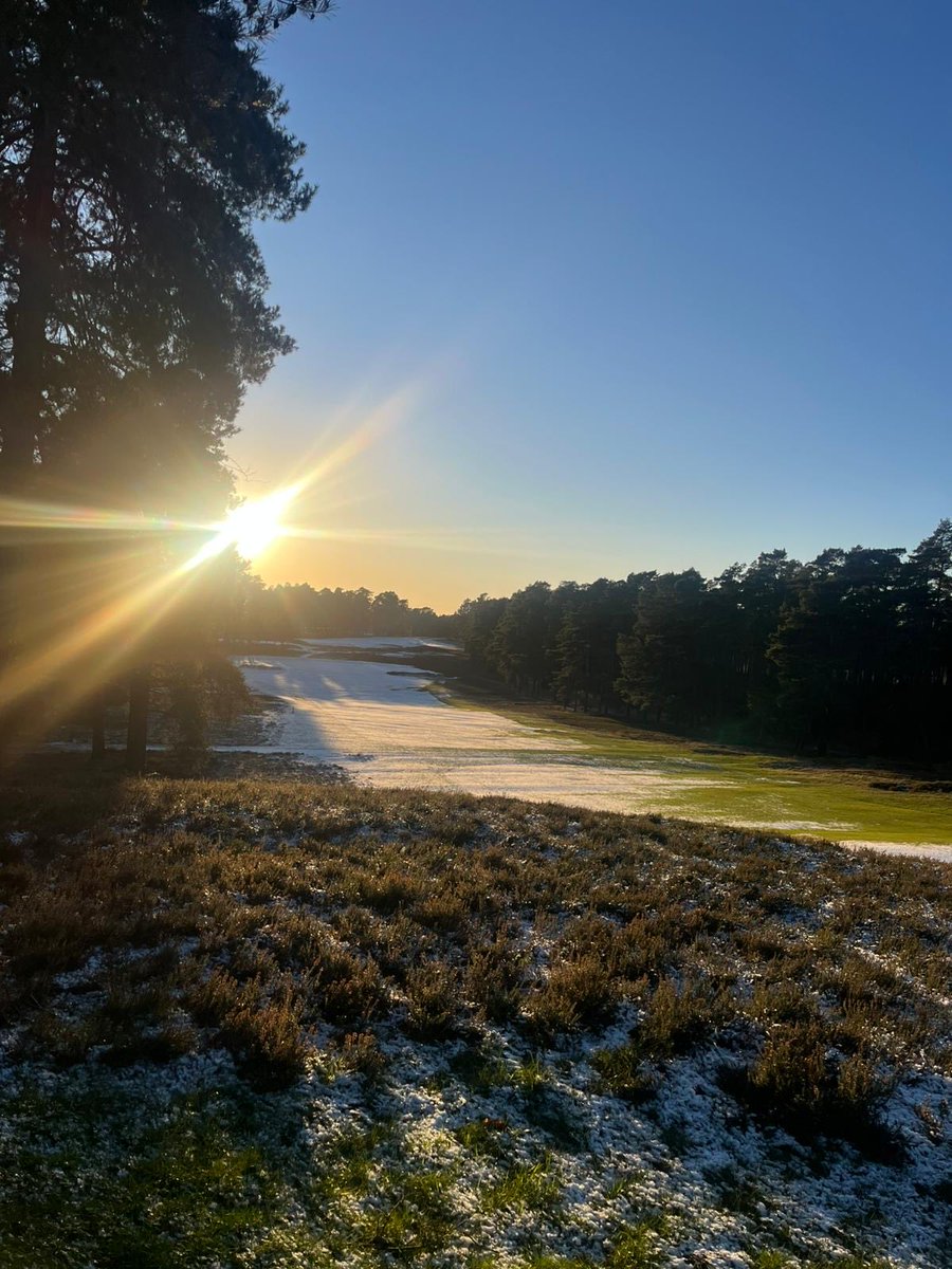 Tony Stephen tweet media