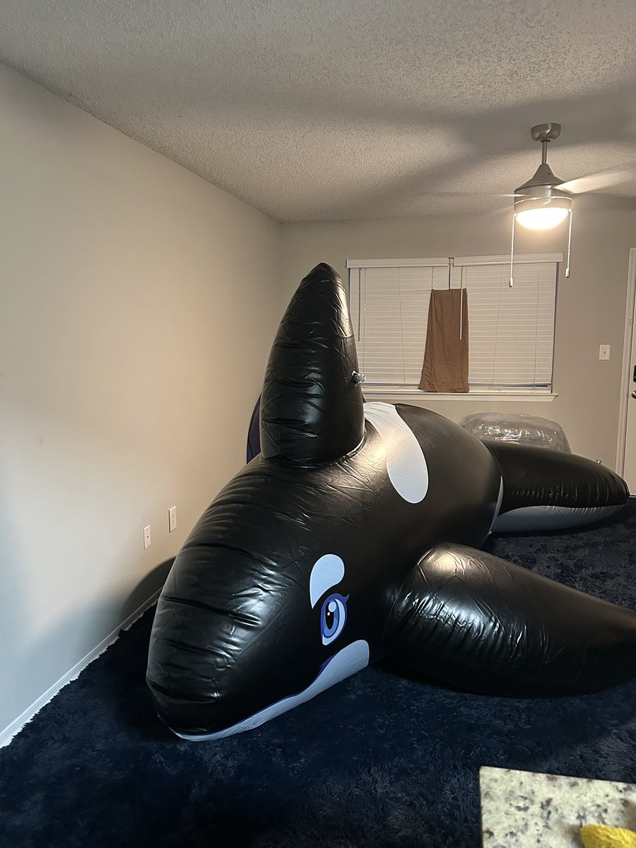 Zach the Dugong tweet media