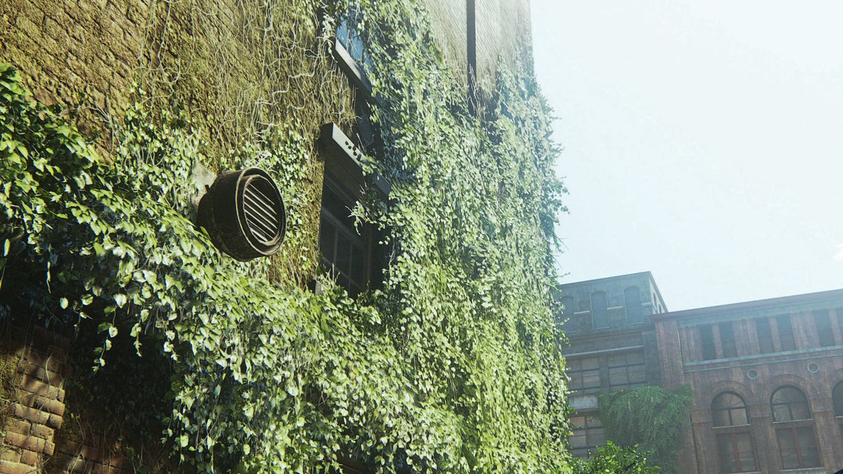 𝘙𝘶𝘴𝘵𝘝𝘗📸 tweet media