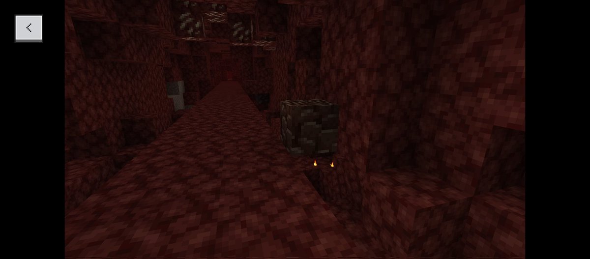 AaronCruz694801's tweet photo. La capa 14 del nether es donde se puede encontrar más escombros ancestrales o necesito bajar mas https://t.co/CWRvlD1KzO