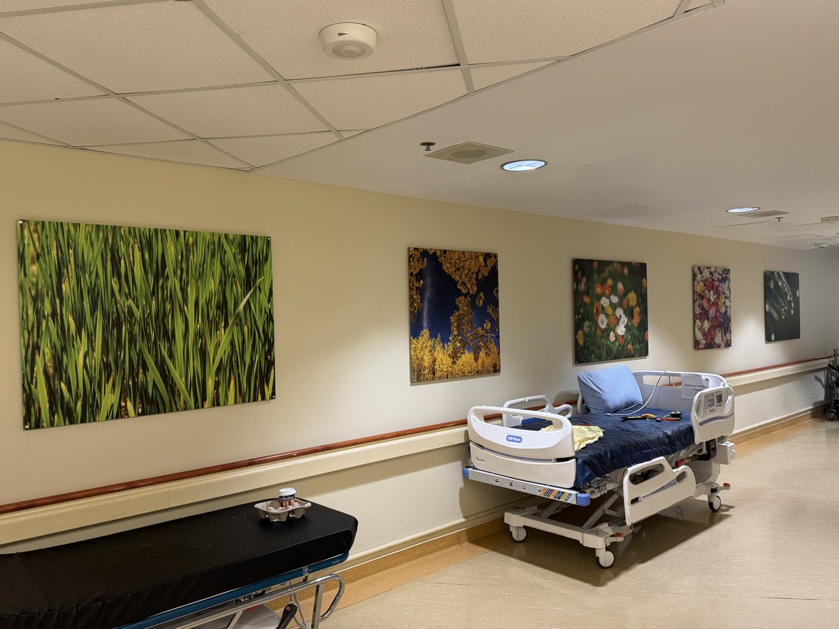 ArtWorks For Cancer tweet media