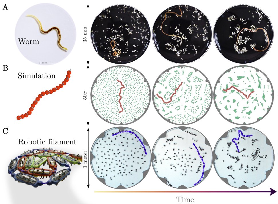 Physical Review X tweet media