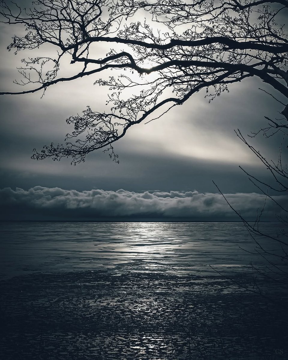 Monica85198503's tweet image. “Only the moment in which I find myself 
exists.”

~ László Krasznahorkai, 𝐶ℎ𝑎𝑠𝑖𝑛𝑔 𝐻𝑜𝑚𝑒𝑟
·

© Return, Sweden by Catrine Sandberg