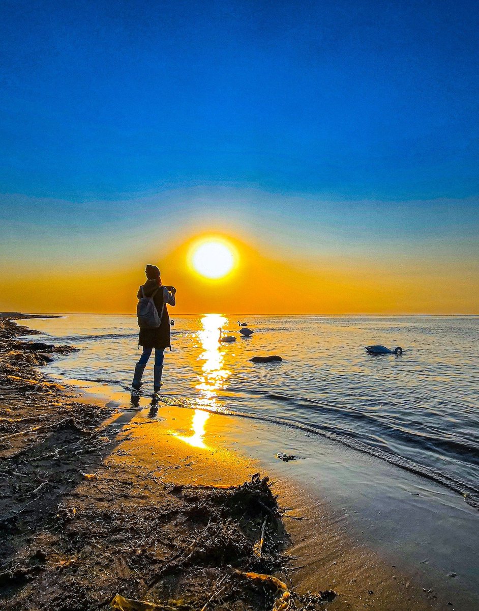 vas776834's tweet image. at the oldest harbour