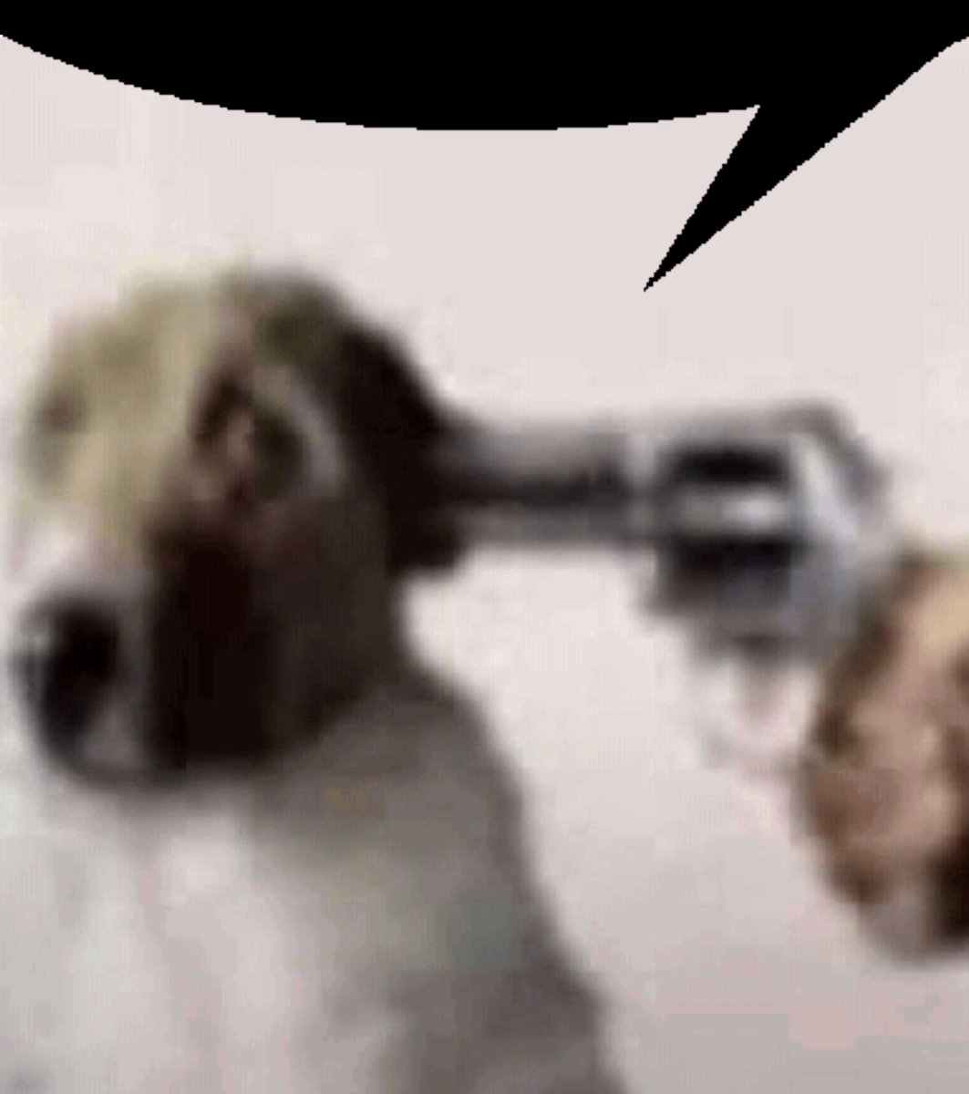 brandon92431 tweet media