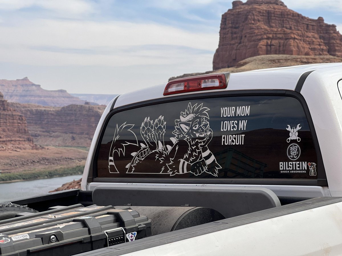 dirdwolf @ lvfc tweet media