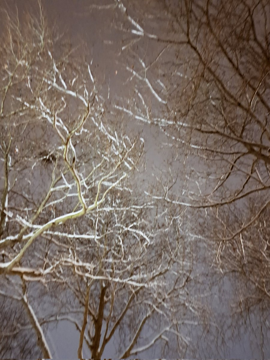 SchilteS's tweet photo. #Sneeuw aan de bomen 
#winter https://t.co/lD65IVqpvi