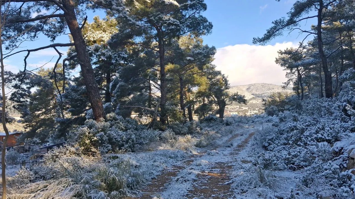 12 yıllık Urla defteri kapanıyor.

 Aklıbaşında kimse Urla'da olmamalı.

Zaten aklıbaşında kimse Urla'da varolamaz.

Burası, kendini landlord sanan toplum kaçkını, sonradan görme, yozlaşmış bencil manyakların estetize edilmiş tımarhanesi.

Kışları kar yağan bir Anadolu kasabası
