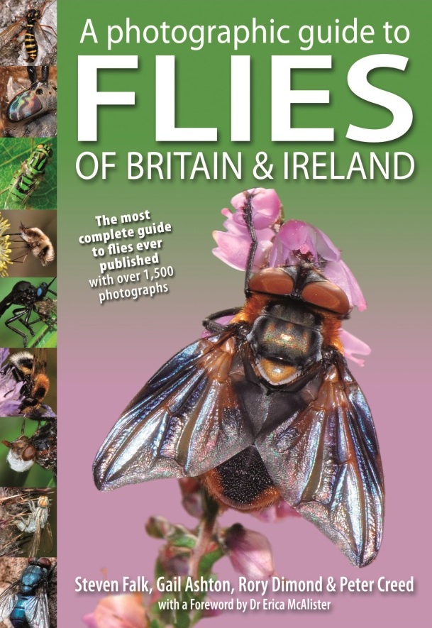 Steven Falk tweet media