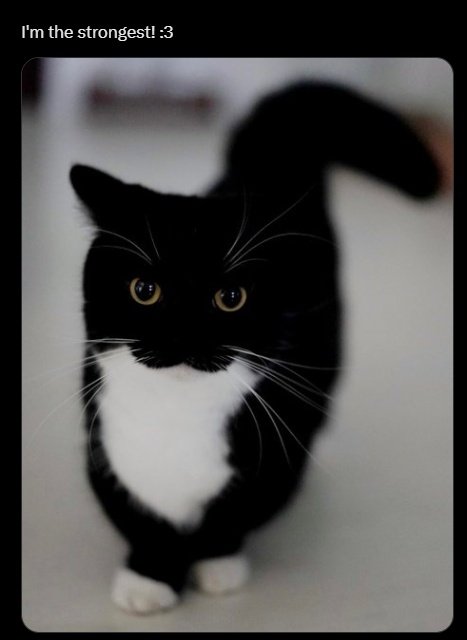 À jour sur Chainsaw Man 
PLUS PERSONNE NE PEUT RIEN ME SPOILLLL