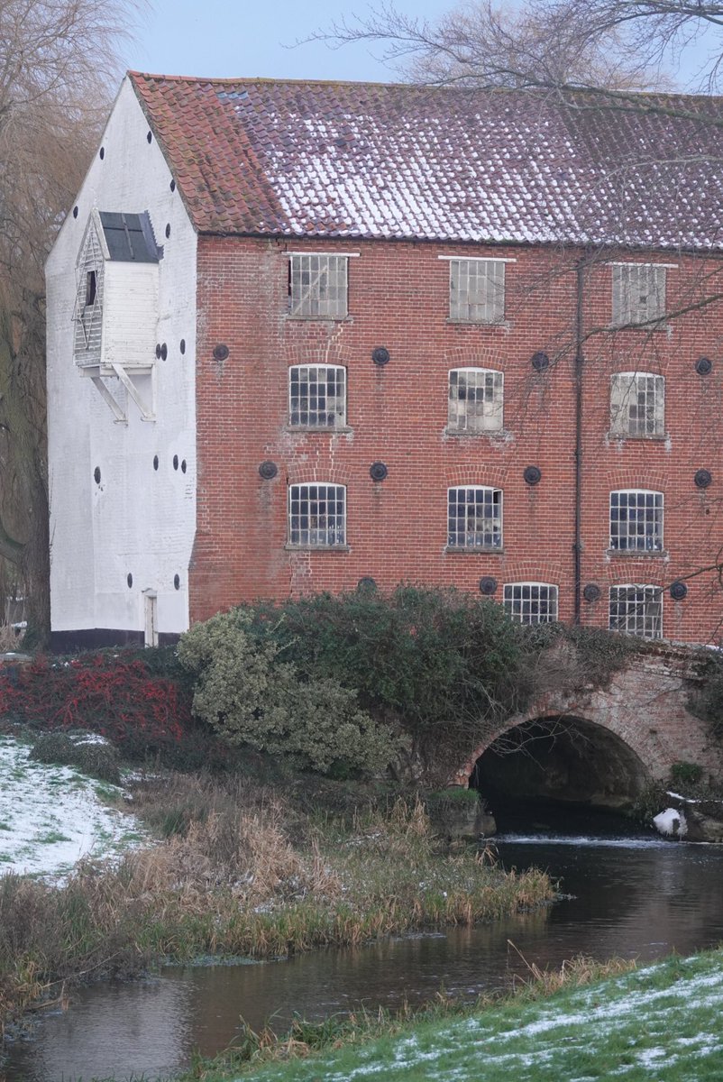 Toby’s Birding tweet media