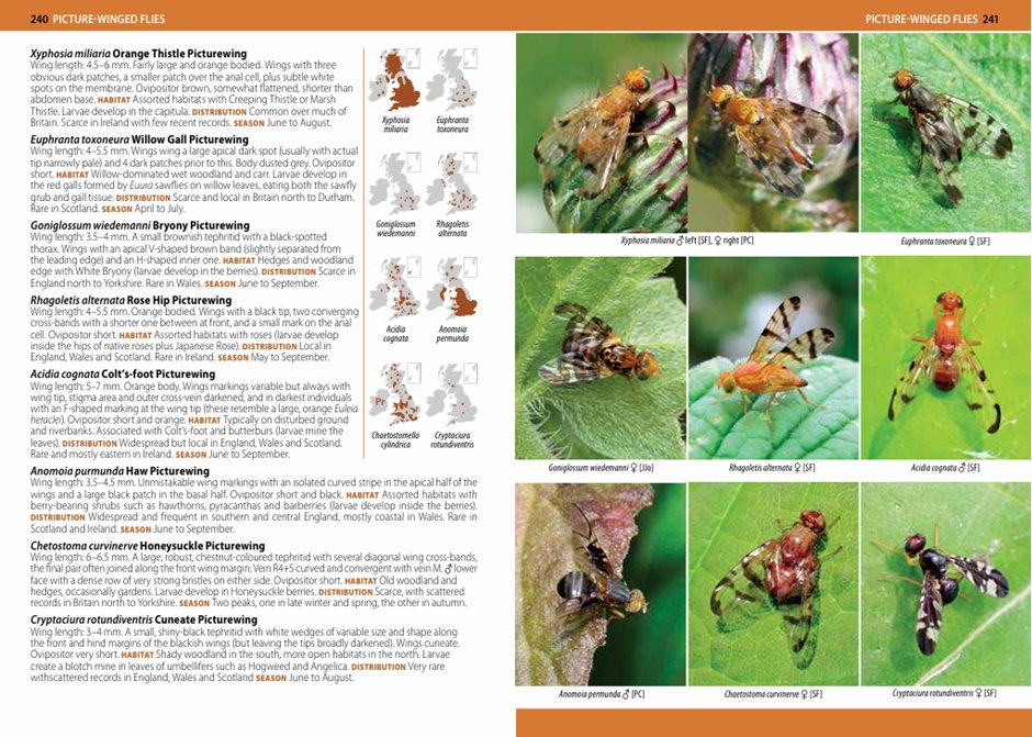 Steven Falk tweet media