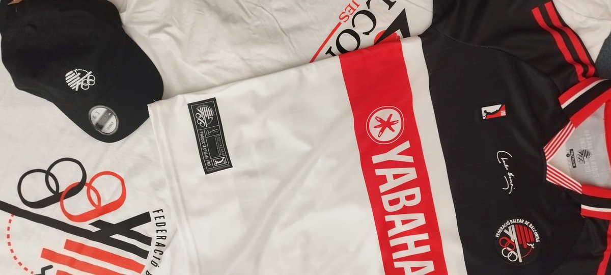 Federació Balear de Balconing tweet media