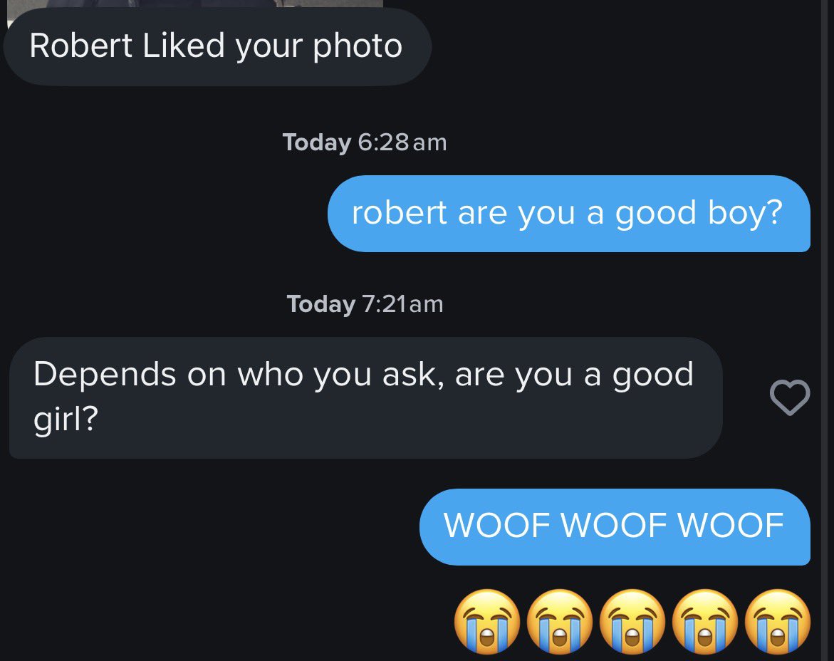 Gemini ꨄ︎ tweet media