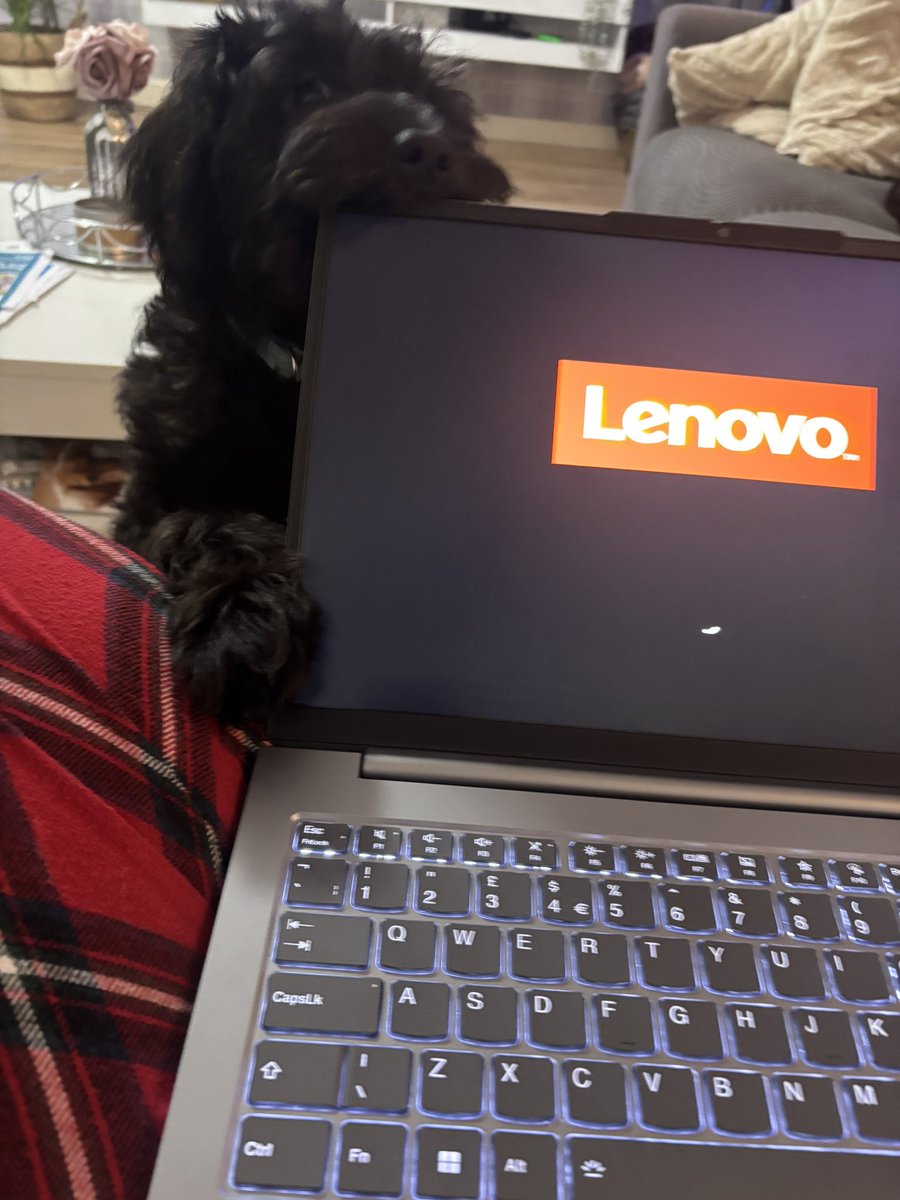 Julia_Bray_'s tweet image. I seem to have a distraction this evening, whilst I attempt to catch up on my NPQH for the week… 🤣🫣🫠. 

#newpuppy