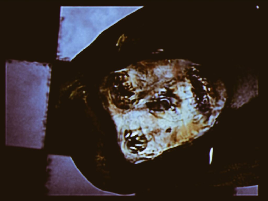 New Unused Susan picture from Lacrimosa